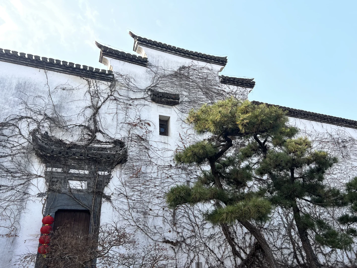 上海广富林半日游