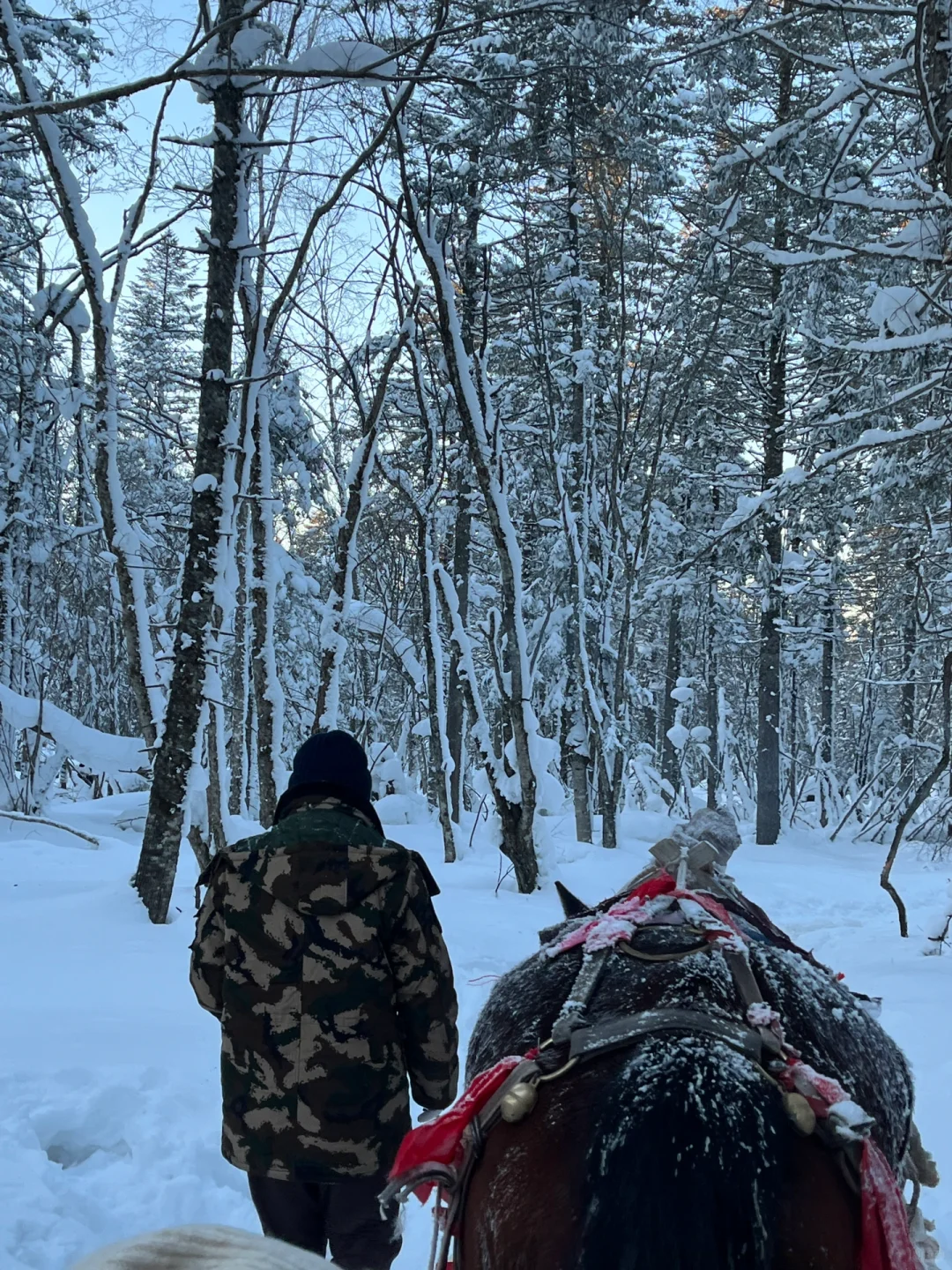 老里克湖这种景点大可不必去，真的！！！
