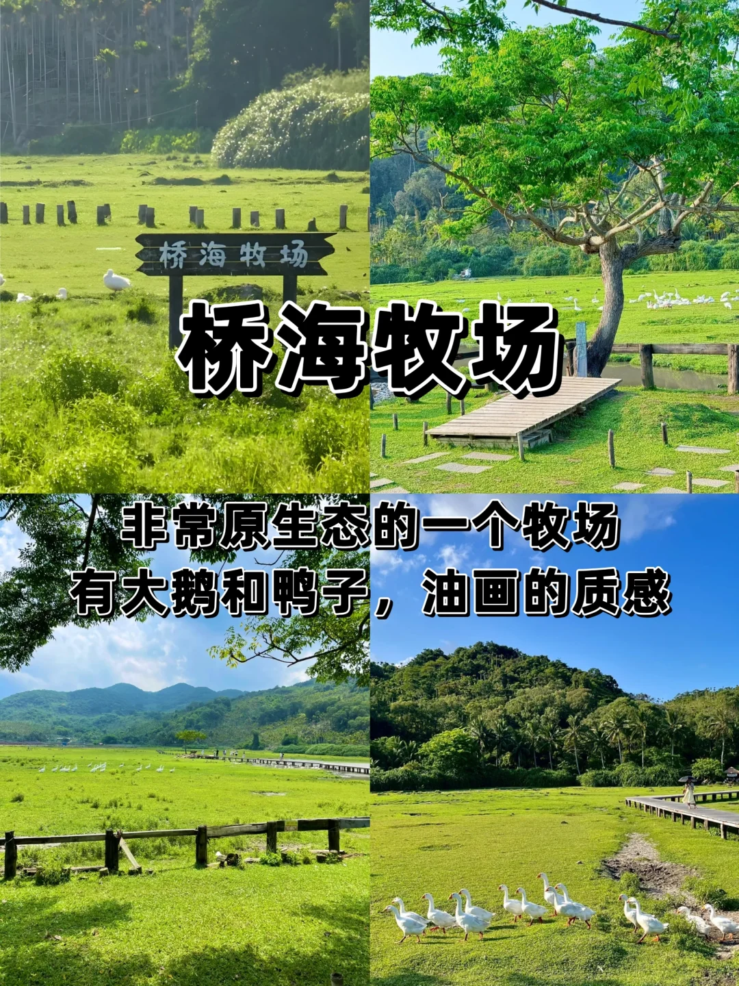 为了这几张照片特意飞海南/万宁！！！