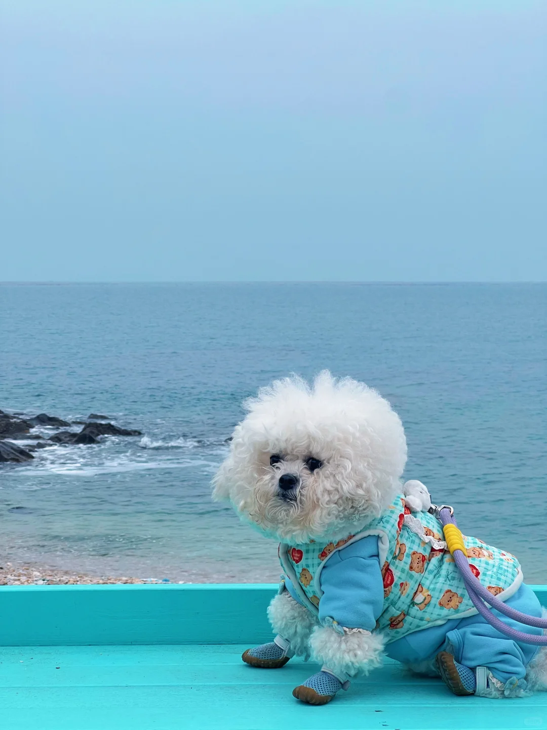 我们又来看海啦