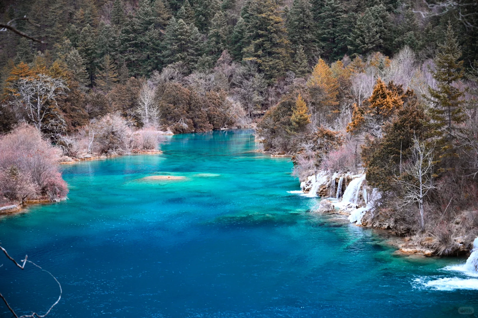 补档一下元旦的黄龙九寨行