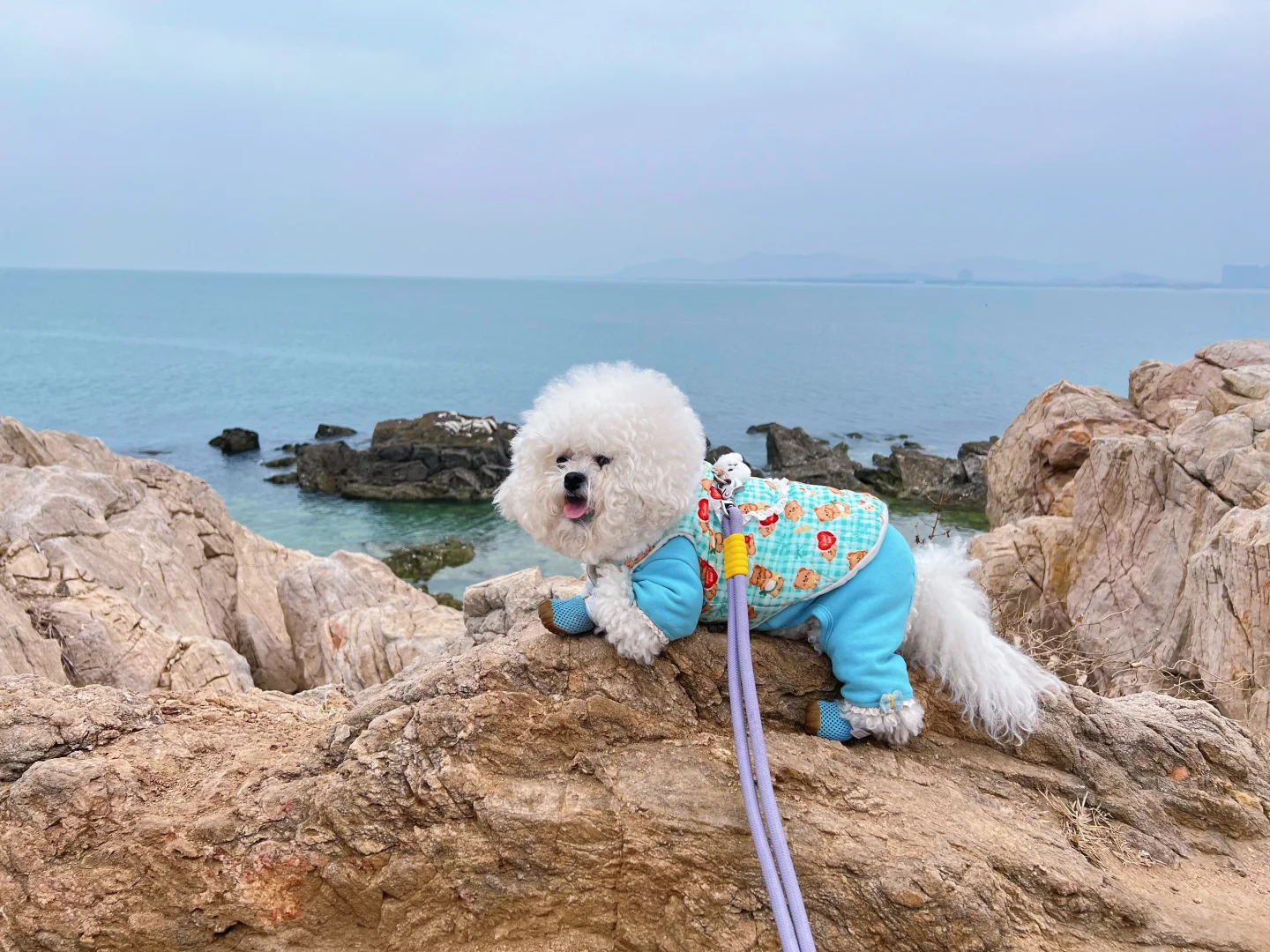 我们又来看海啦