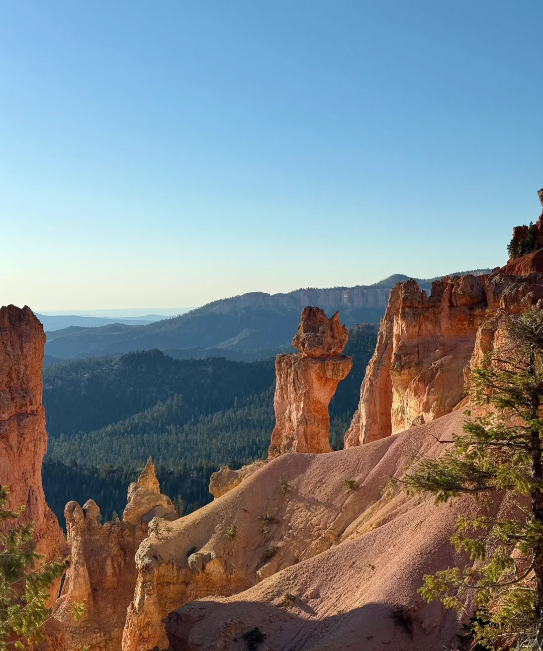 不是夸父也不影响追日