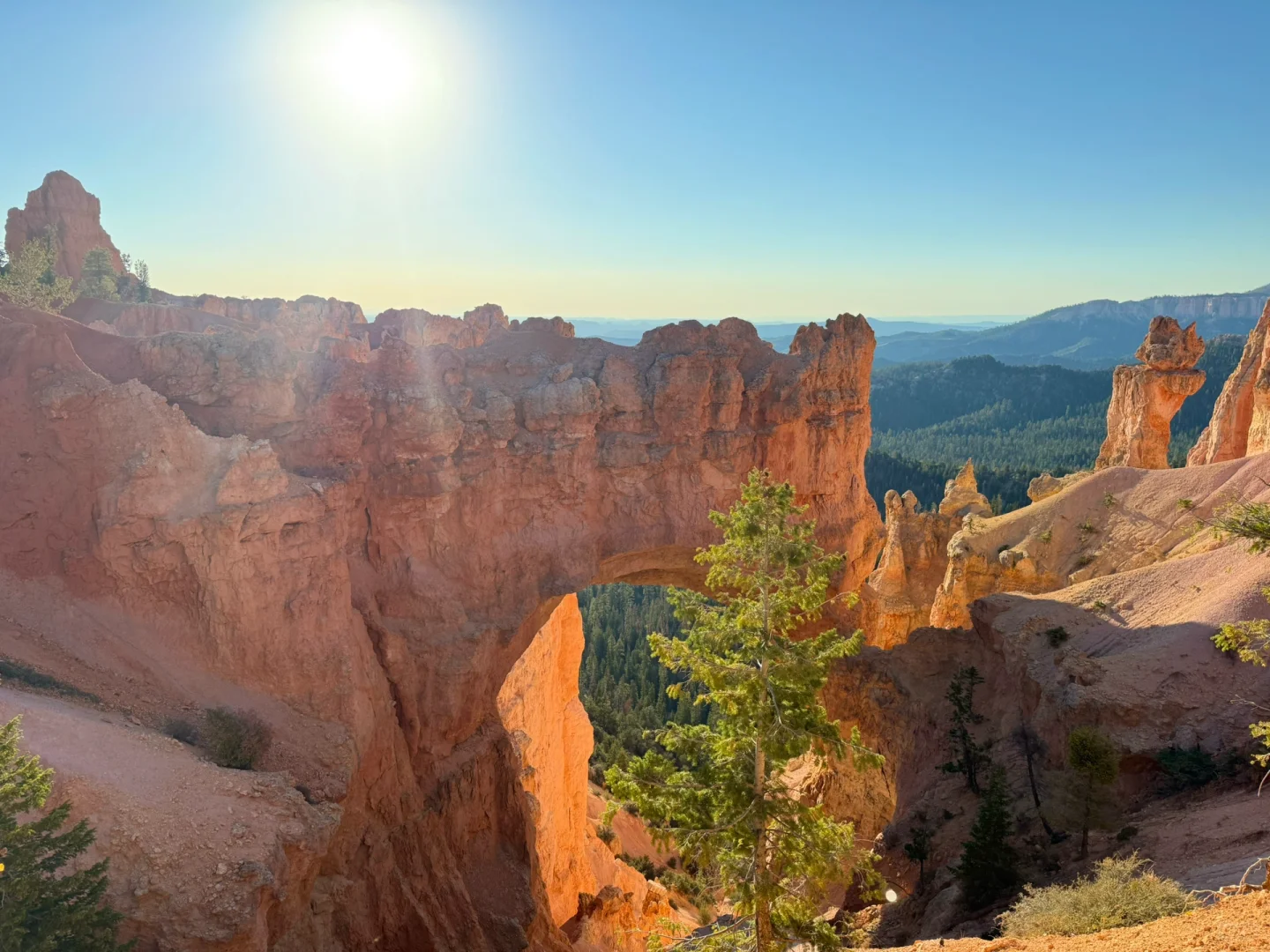 不是夸父也不影响追日
