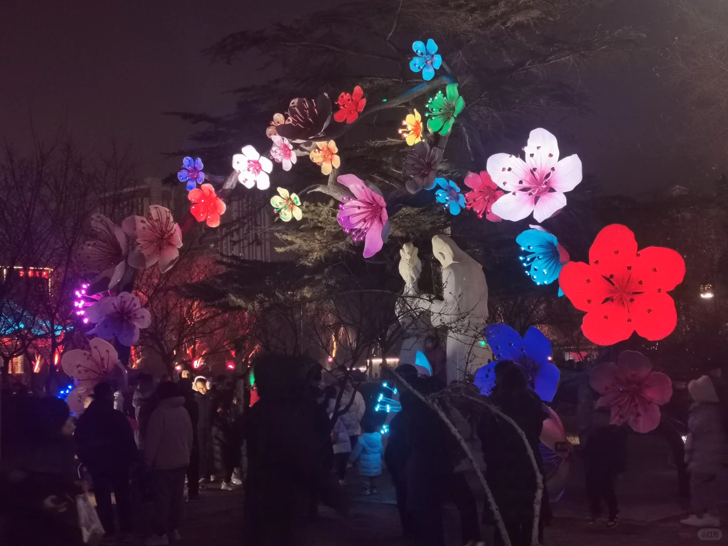 🏮邯郸！必须出片的美景，等你来打卡‼️