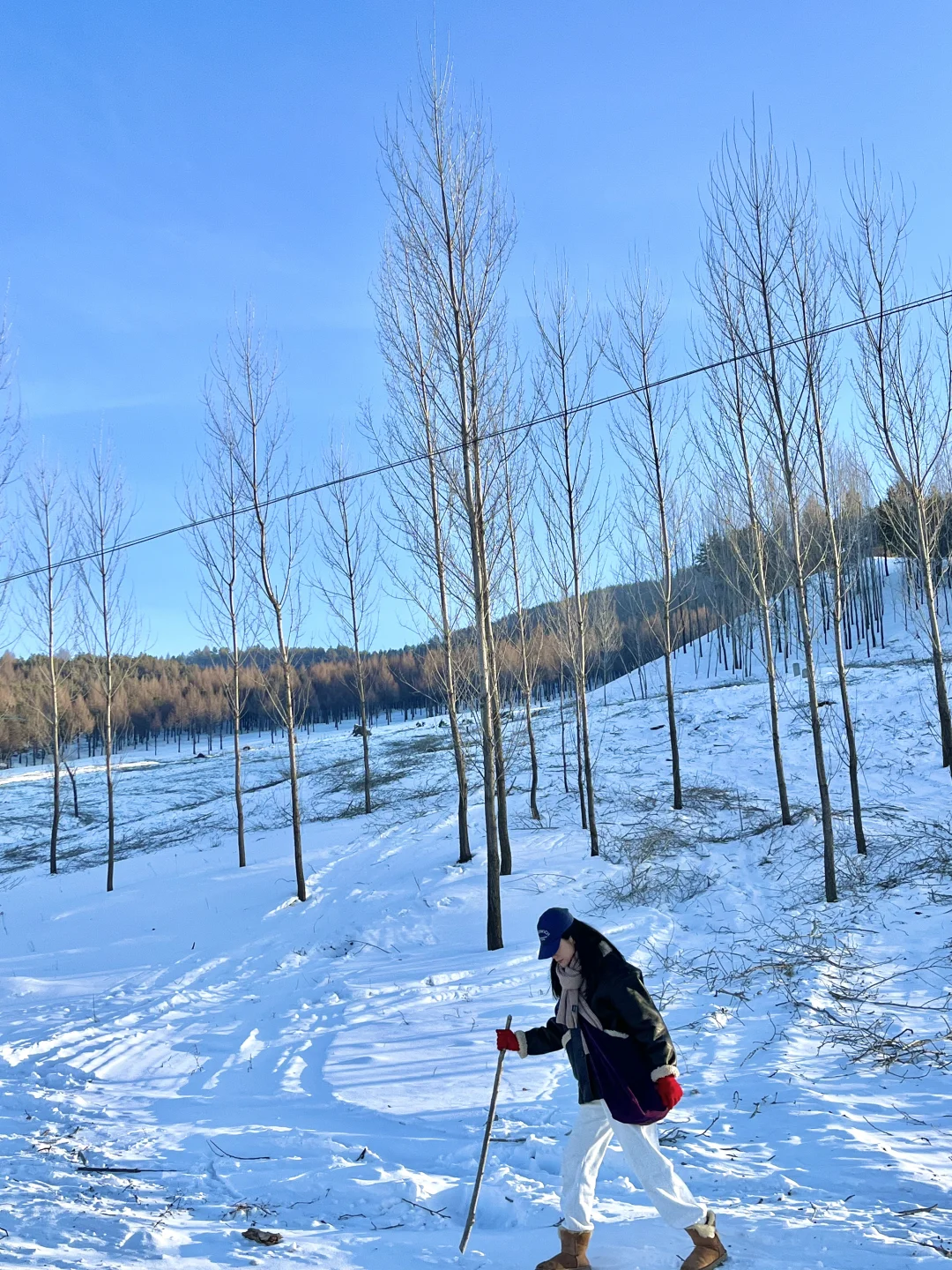 哈尔滨遛娃|比横道河子还美的童话小镇