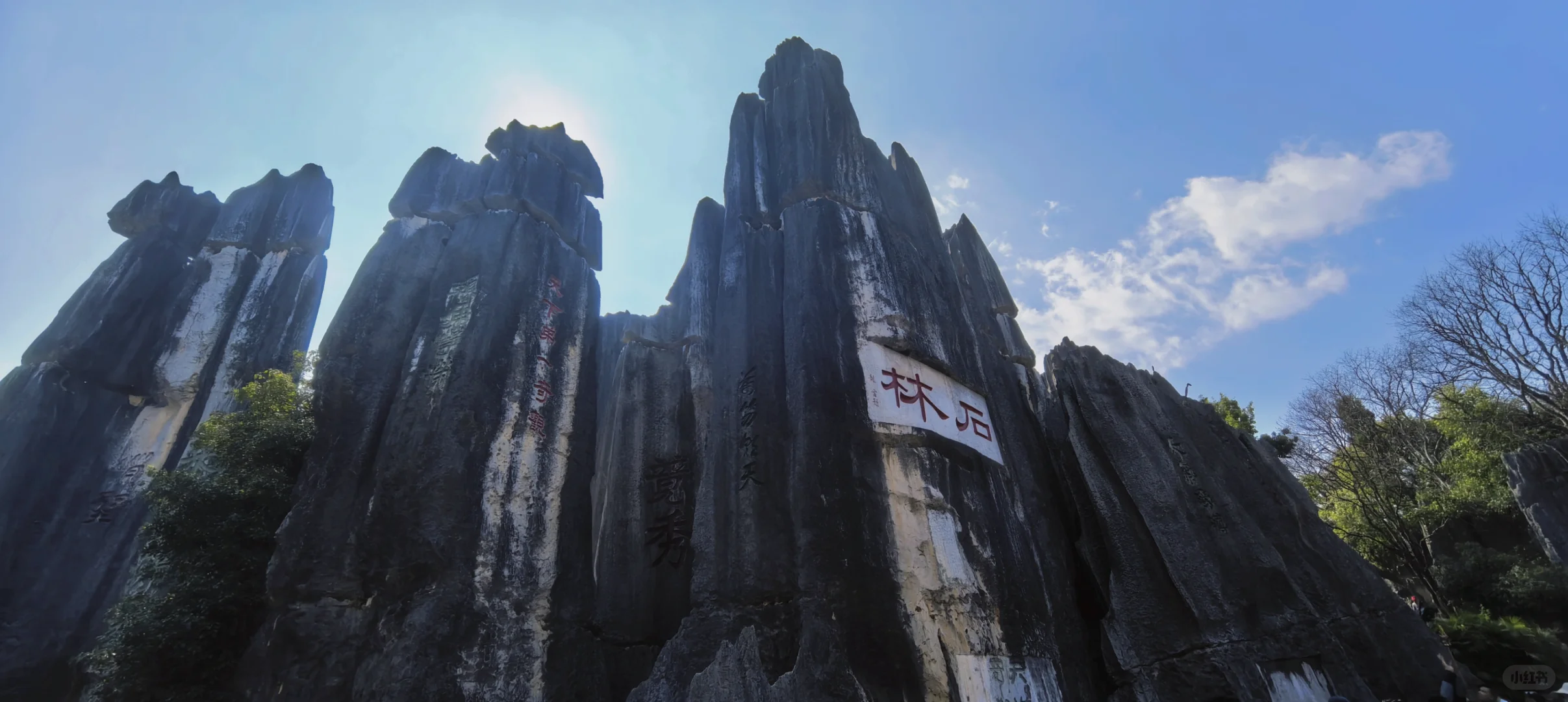 昆明石林 刀山火海 该花得花