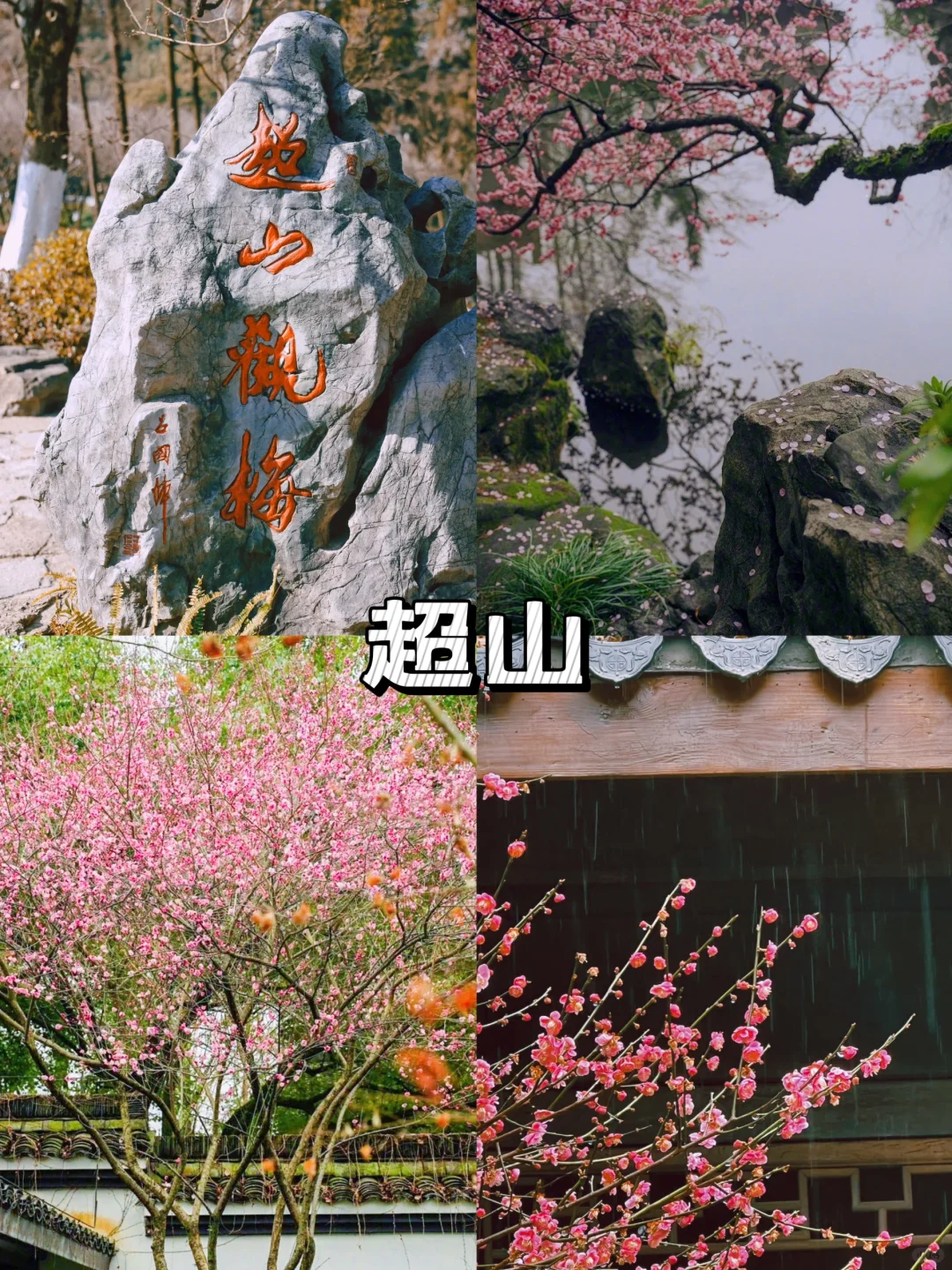 杭州四大绝美赏梅圣地🎁踏梅寻香即刻出发