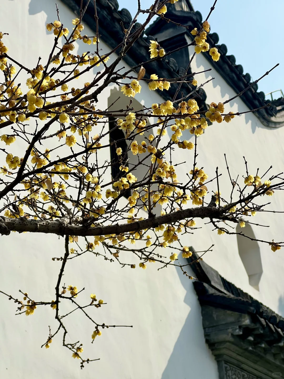 上海广富林半日游