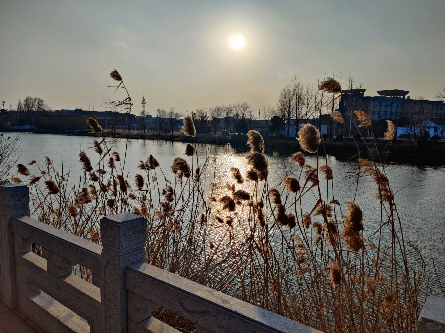 扬州免票景点🎫在瓜洲古渡公园吹吹江风