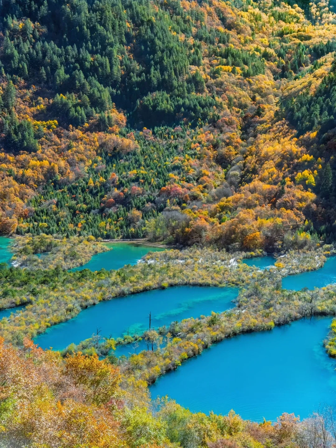 九寨沟淡季vs旺季‼看完再决定什么时候去