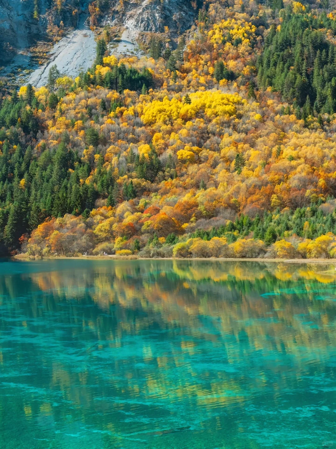 九寨沟淡季vs旺季‼看完再决定什么时候去