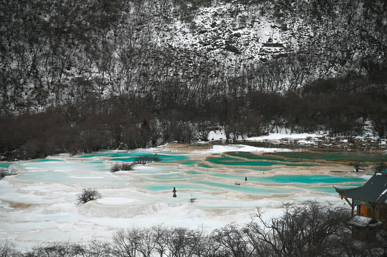 补档一下元旦的黄龙九寨行