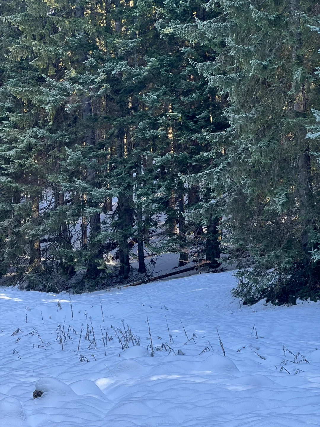 黑山🇲🇪四天三晚(下)