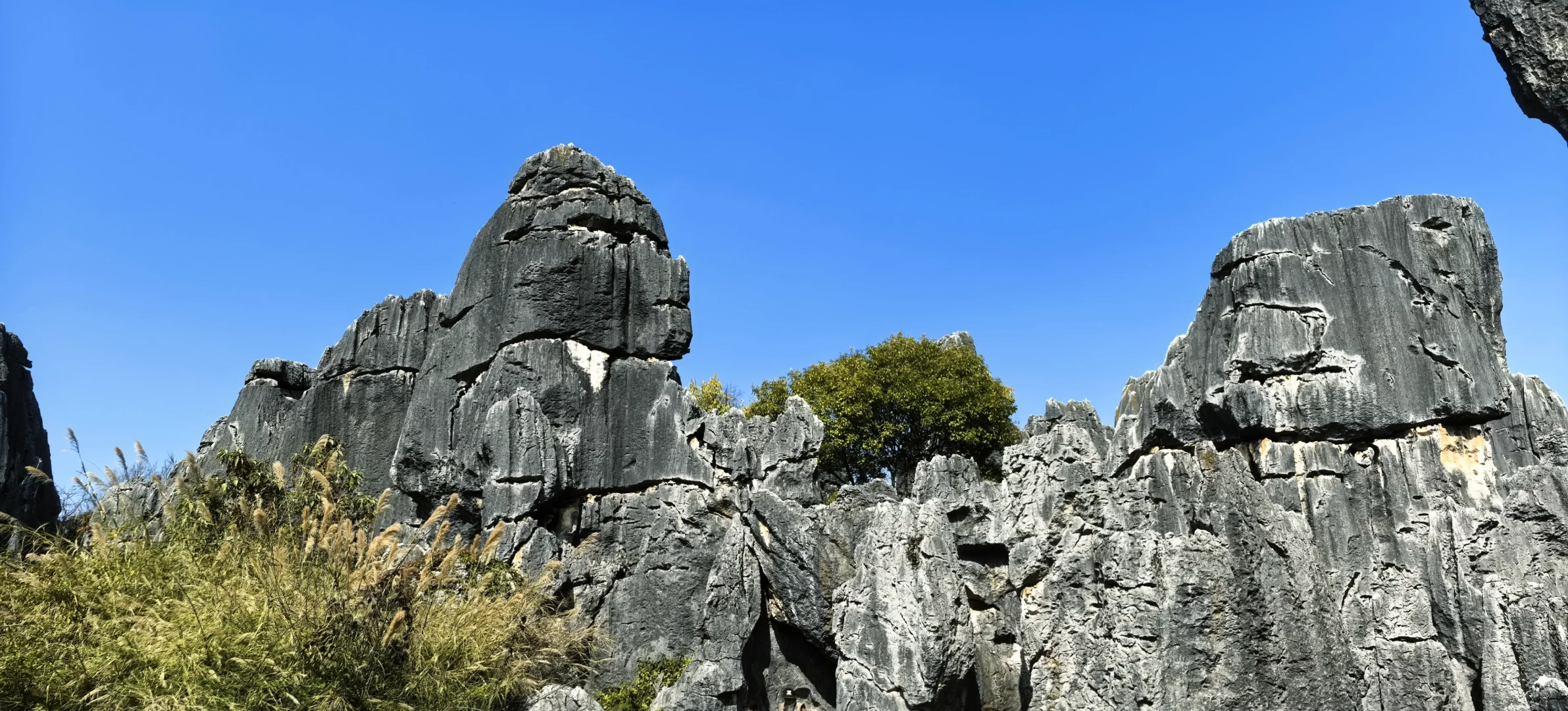 昆明石林 刀山火海 该花得花