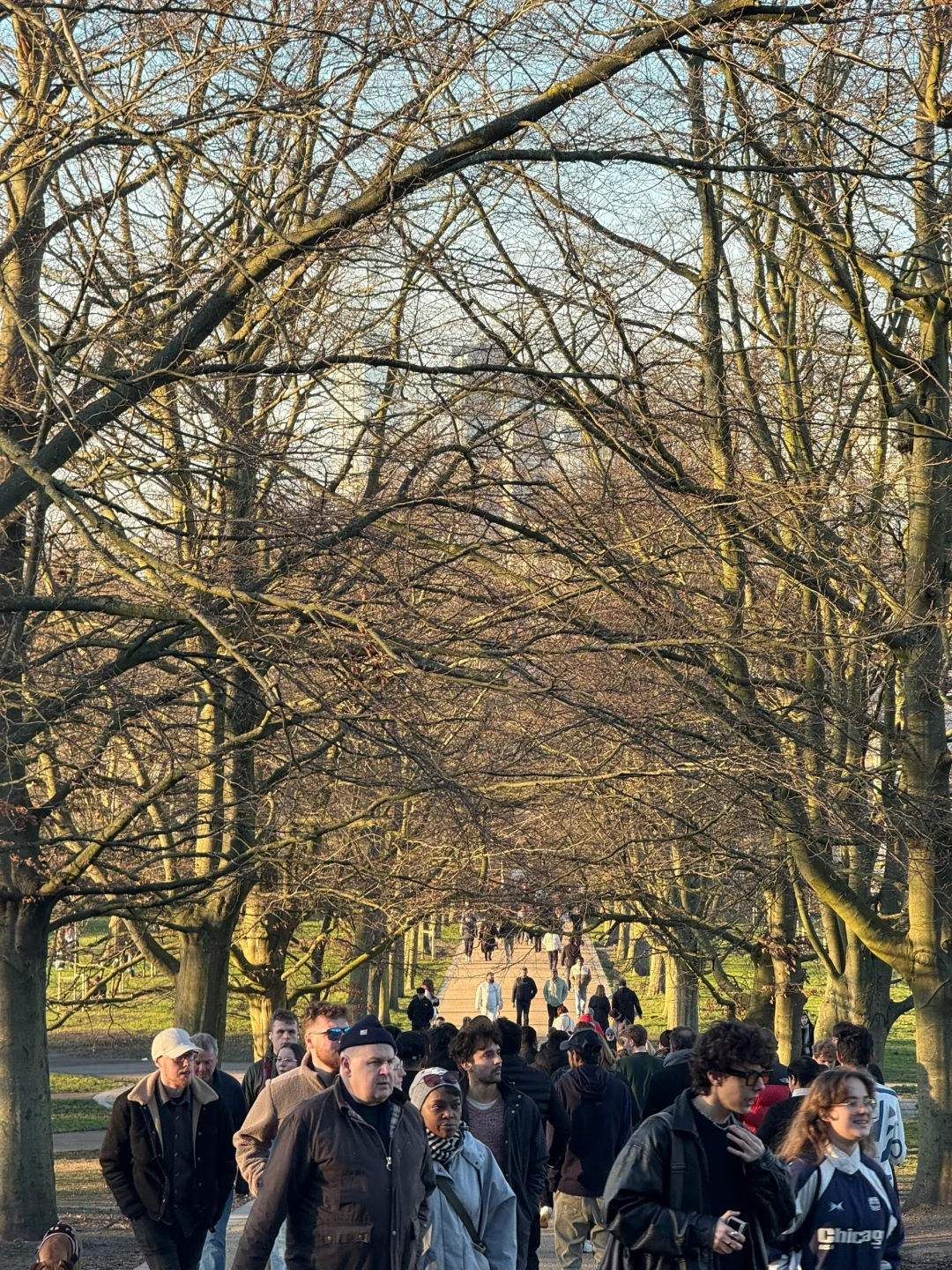 立春的格林威治