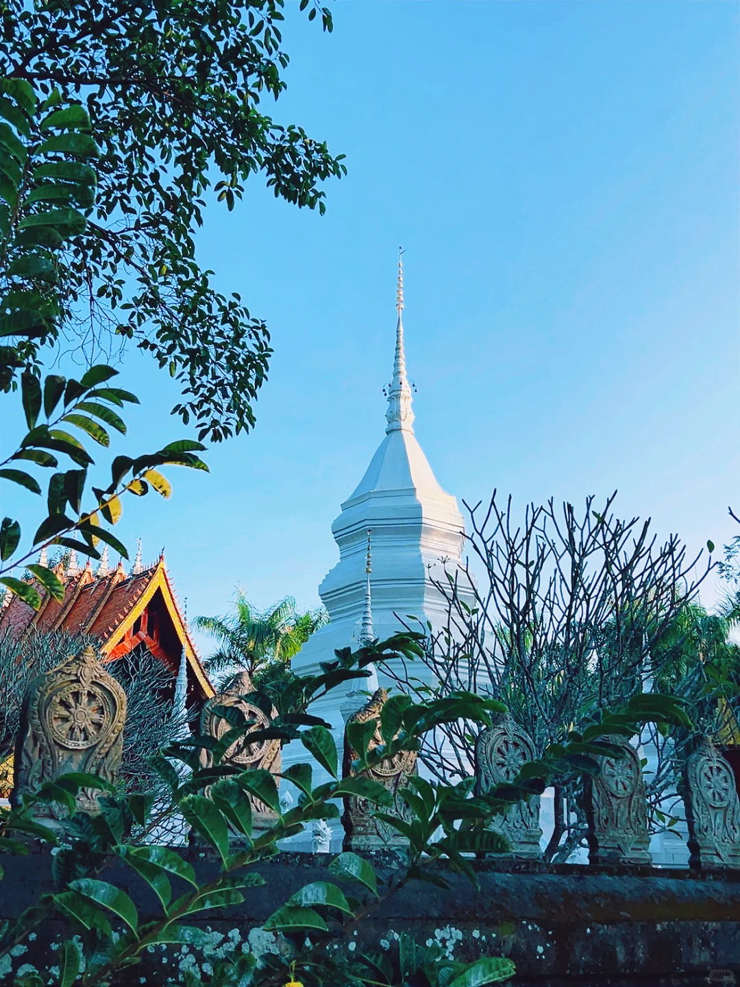 西双版纳5天4晚亲子游