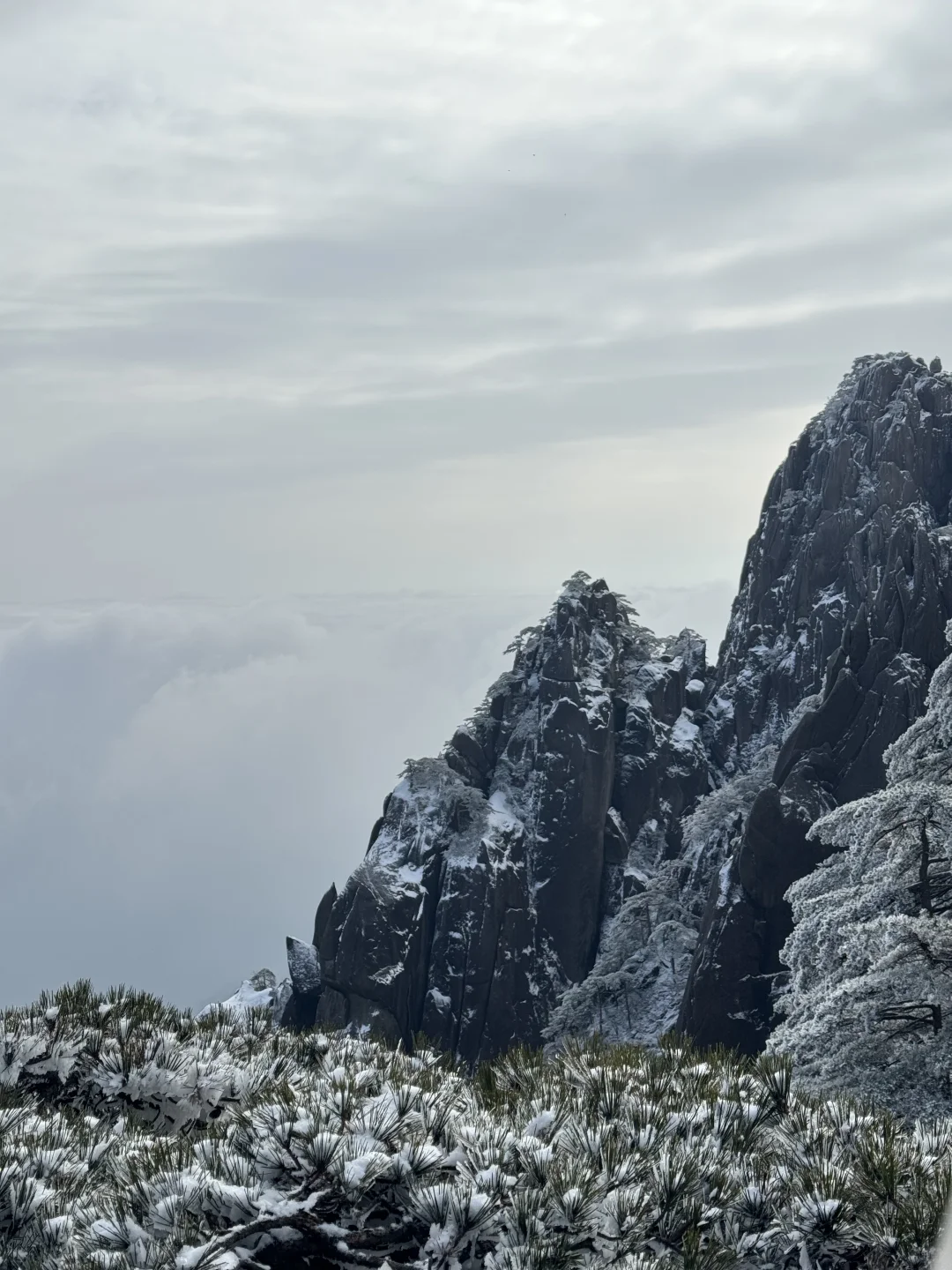 年初六的黄山，美了、值了～