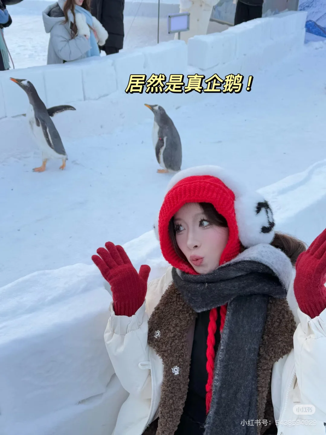 长白山天池不开,来二道白河镇这些免费景点