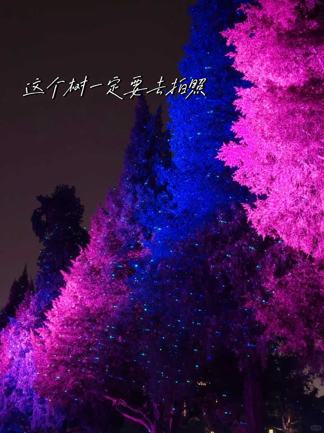 邯郸｜夜景去丛台！