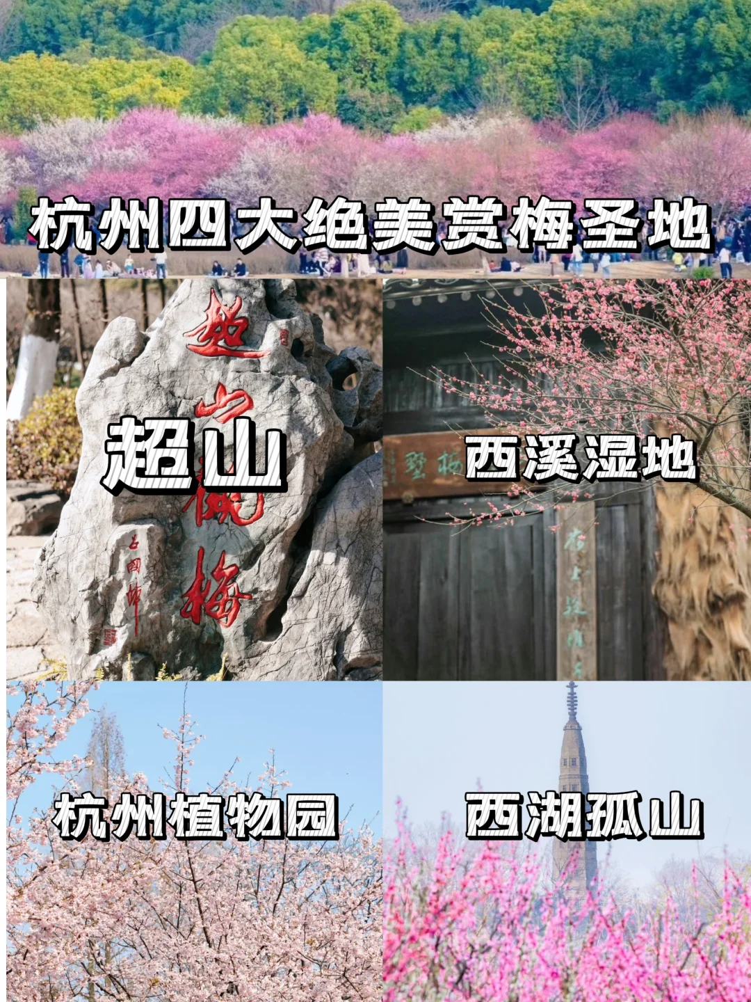 杭州四大绝美赏梅圣地🎁踏梅寻香即刻出发
