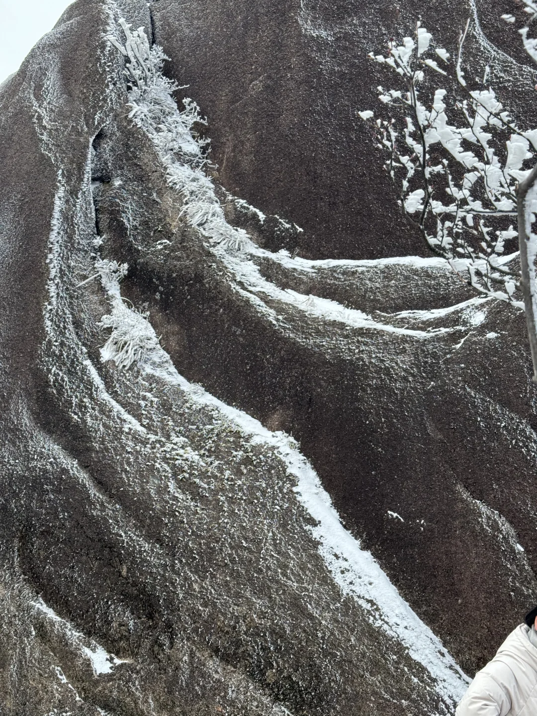 年初六的黄山，美了、值了～