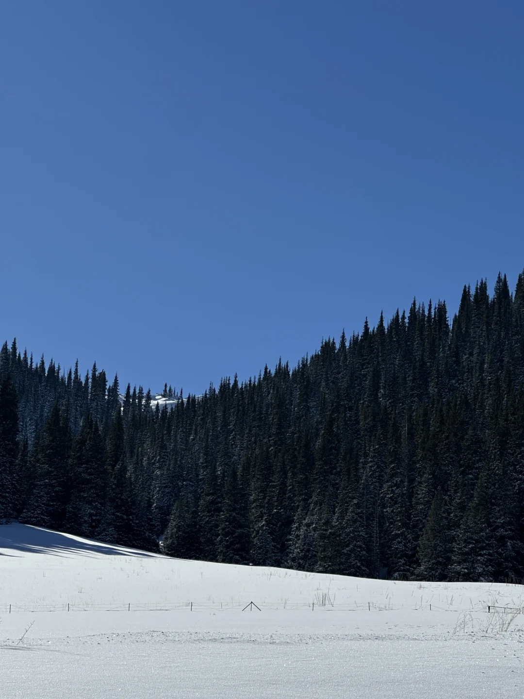 分享一则赛里木湖