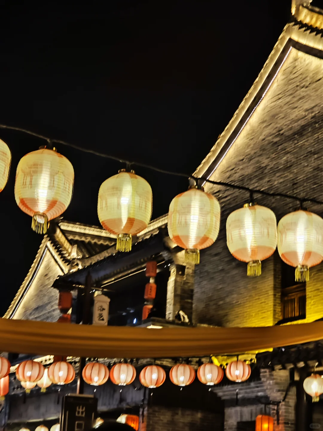 洛阳春节一周游后感