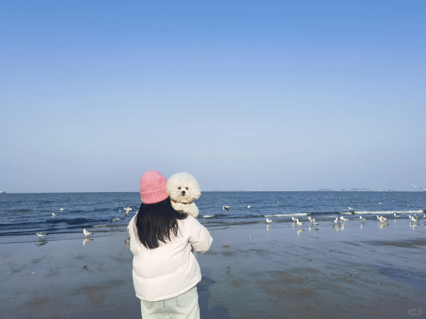 我们又来看海啦