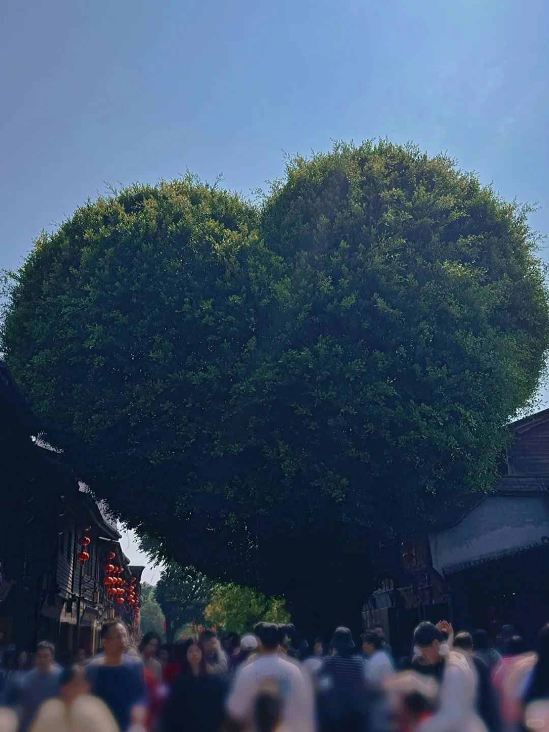 做有福之人❤️来有福之州📷三坊七巷打卡攻略