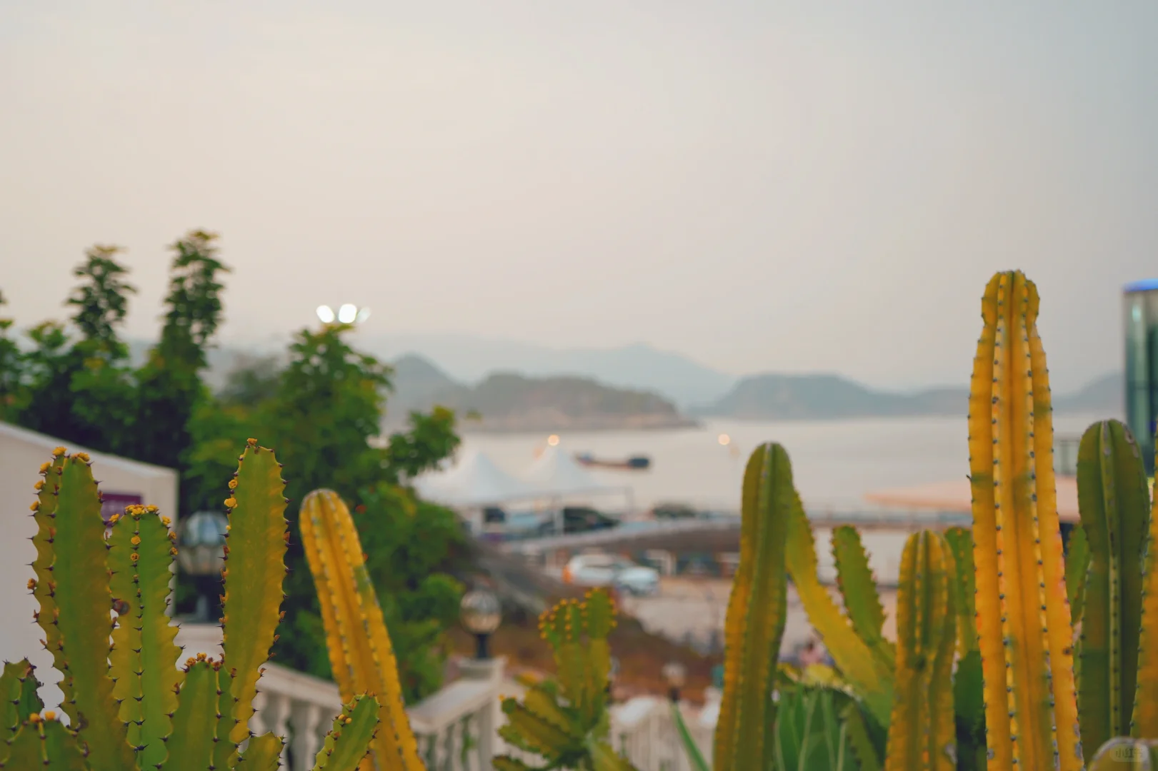 【福鼎渔井村】