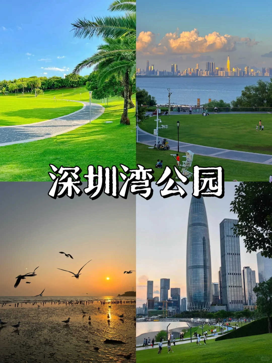 深圳过年玩什么⁉️9个不错的好去处