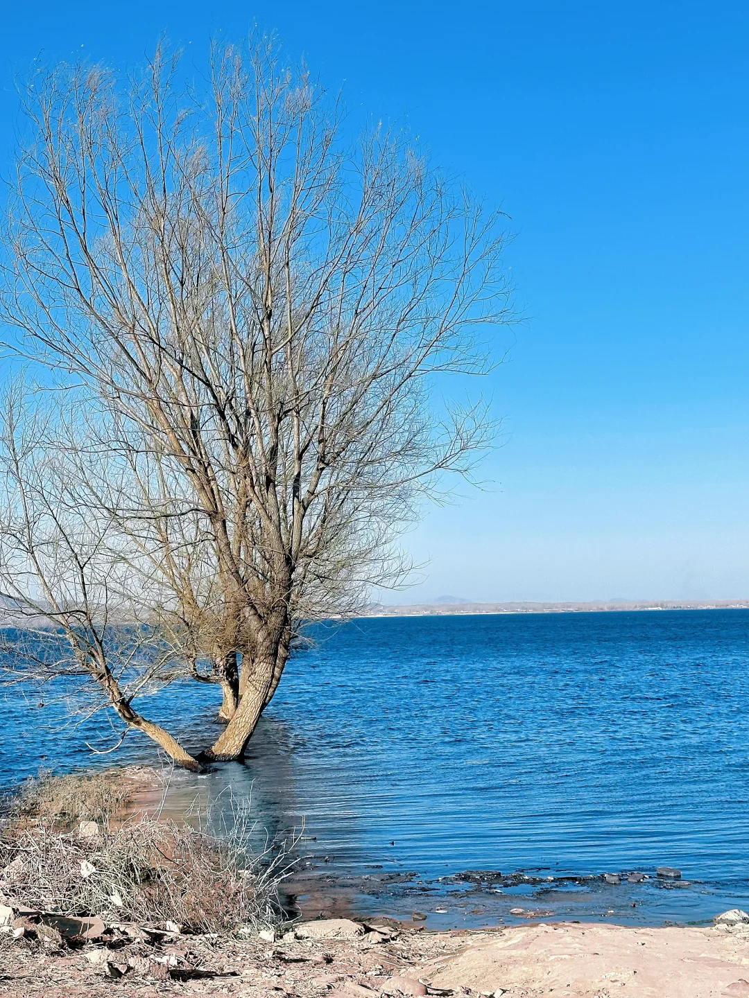 石家庄小洱海🌊｜市区开车40分钟路程🚗