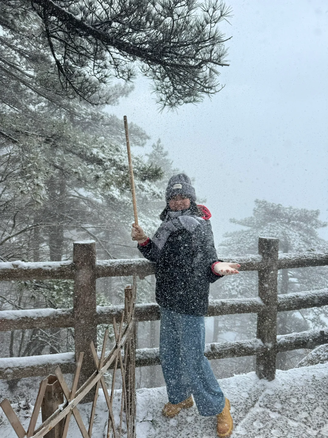 年初六的黄山，美了、值了～