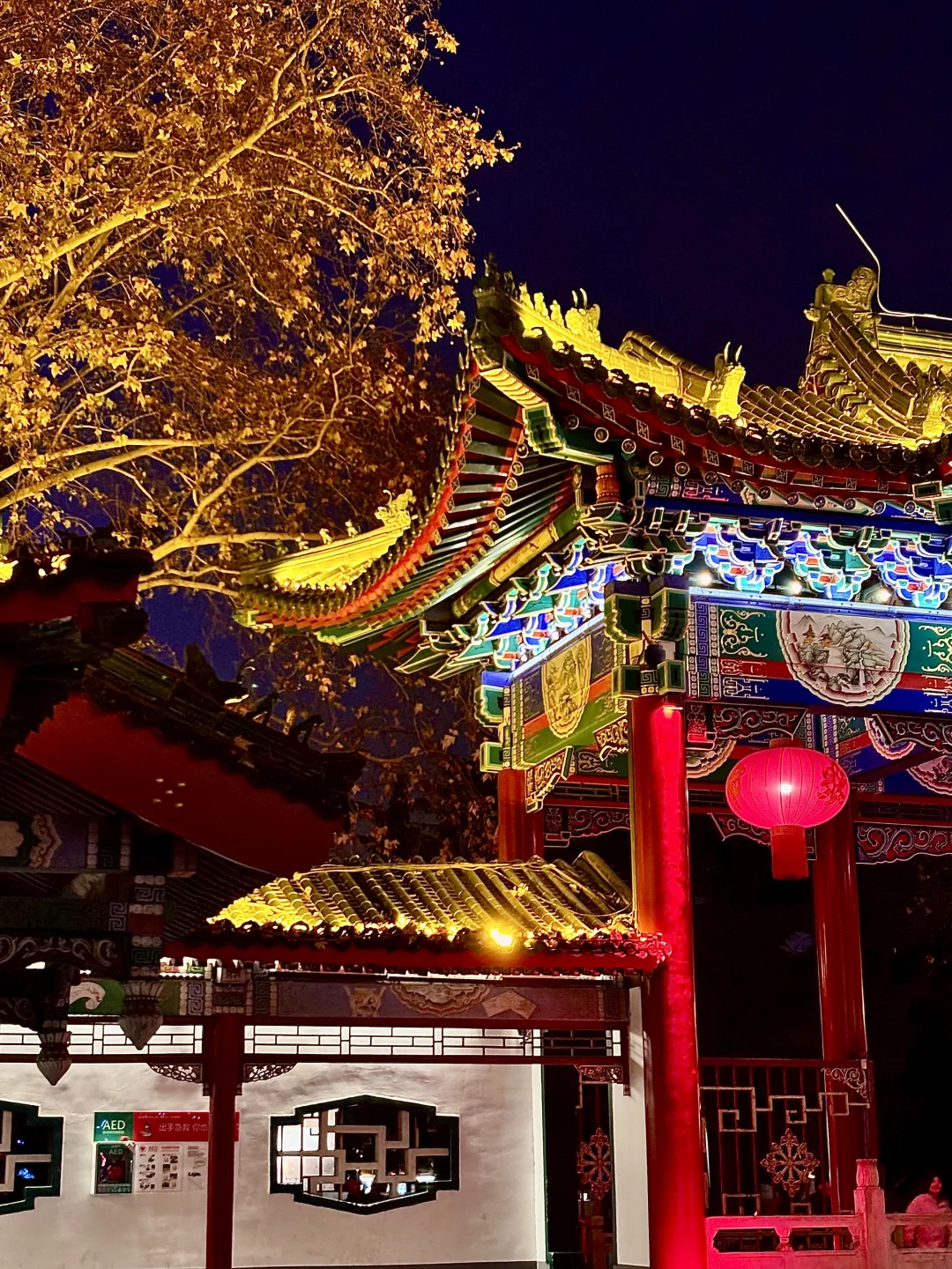 🔁Plog|我宣布：这是我见过丛台最美的样子‼️