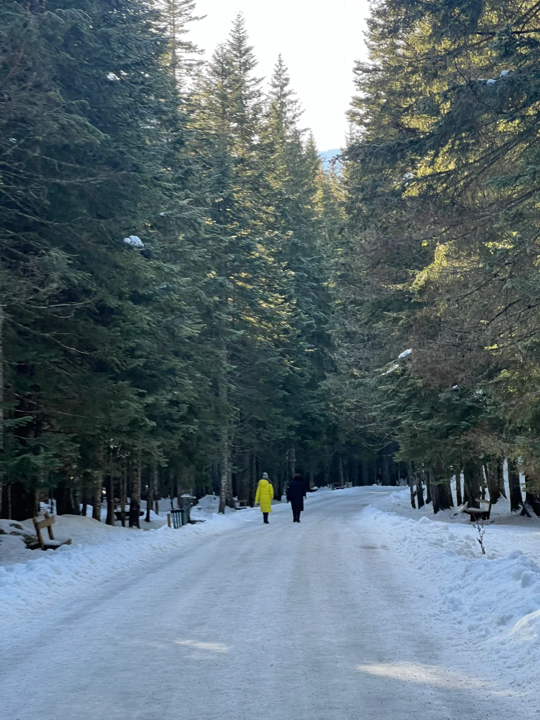 黑山🇲🇪四天三晚(下)