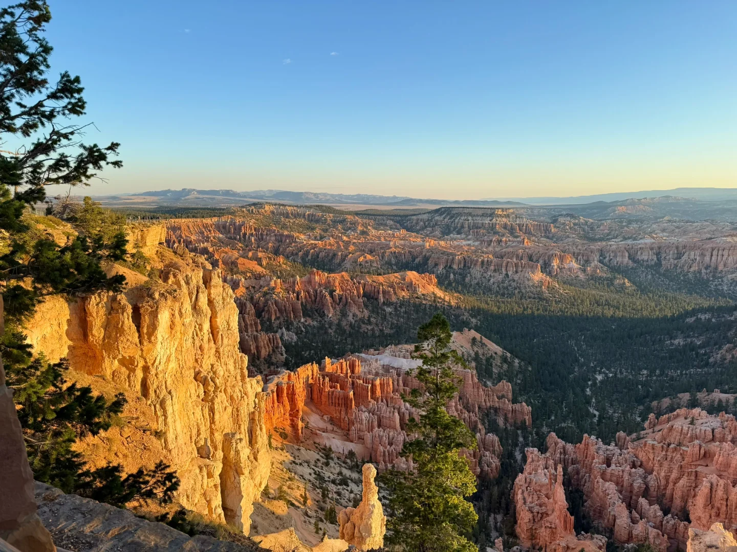不是夸父也不影响追日