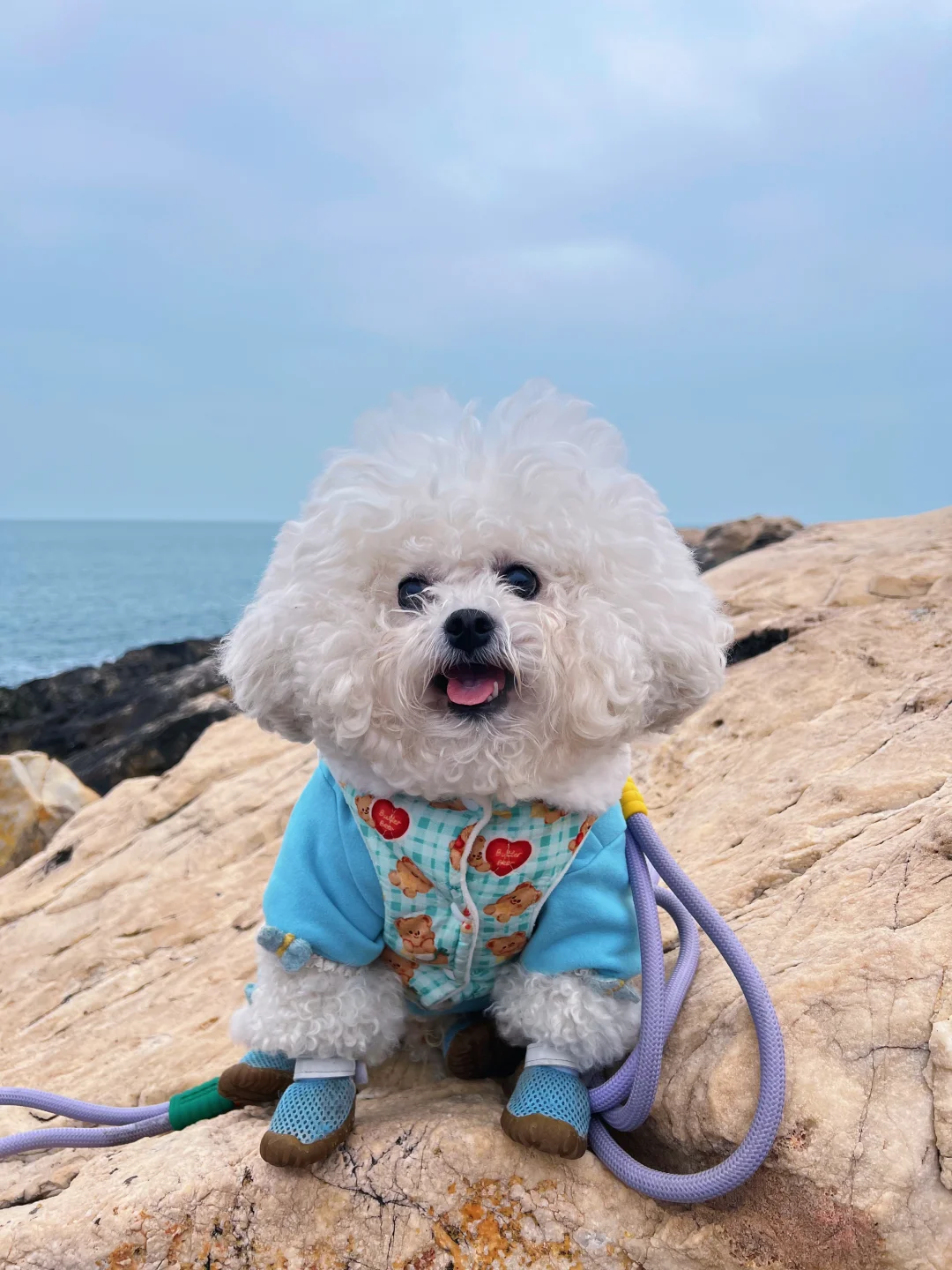 我们又来看海啦