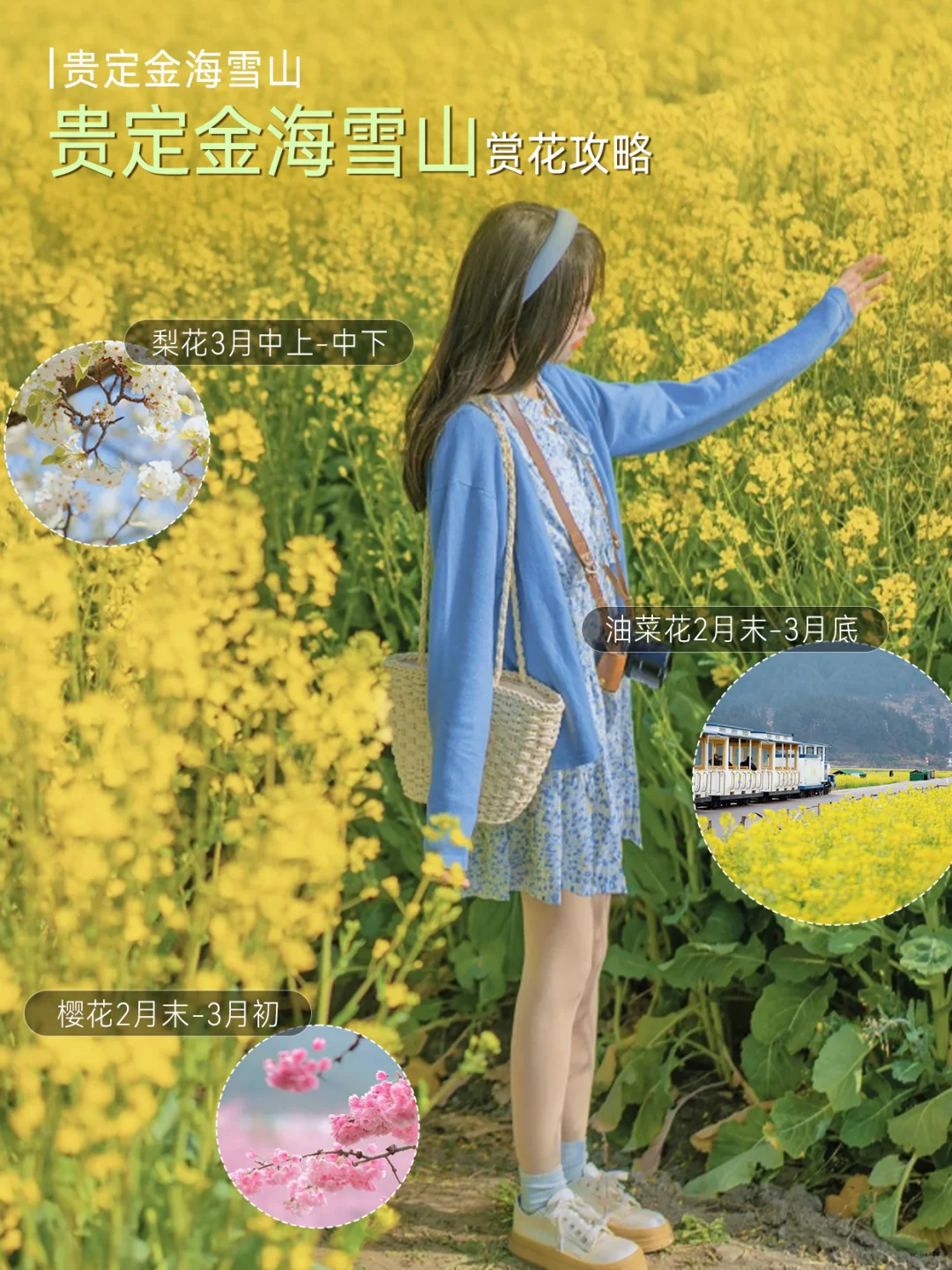 贵州美哭‼️一不小心闯入莫奈的油菜花田~