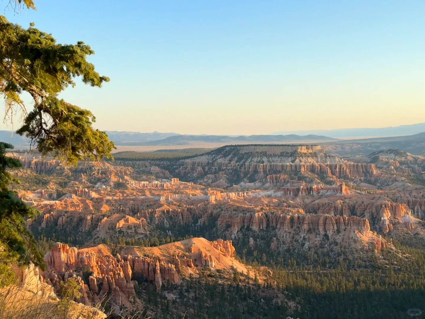 不是夸父也不影响追日