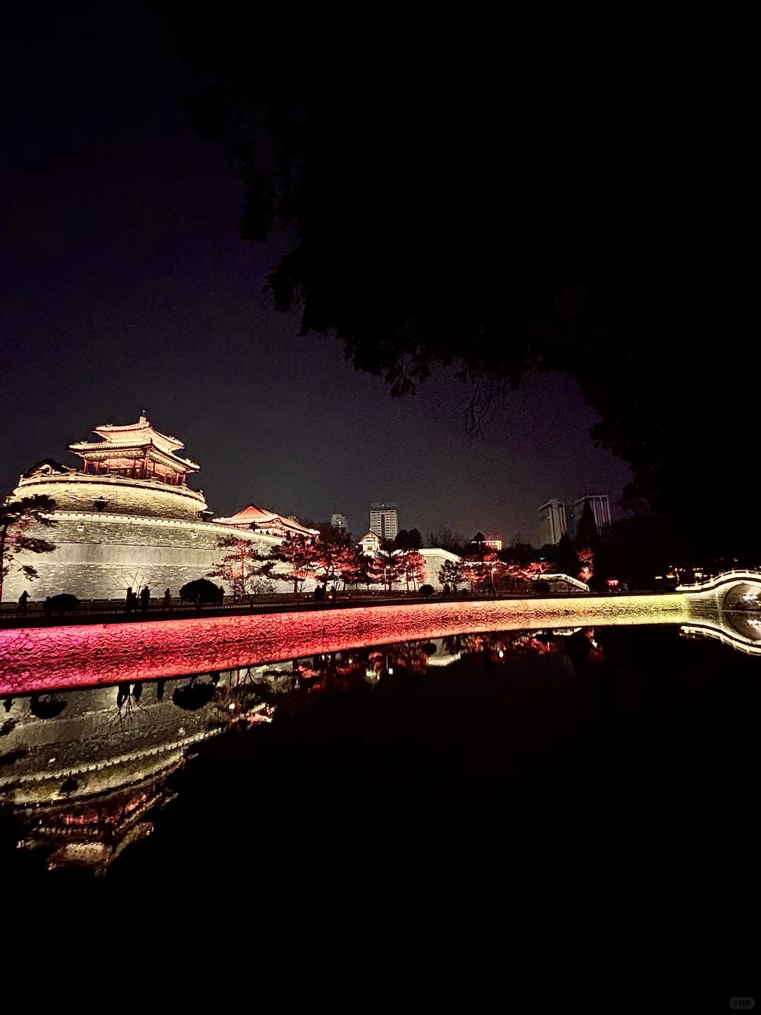 🔁Plog|我宣布：这是我见过丛台最美的样子‼️