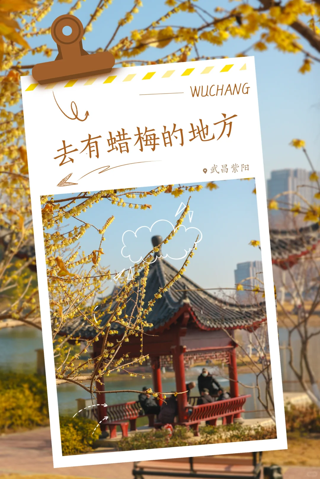 人生建议❗️1-2月在武汉不可错过的6️⃣处腊梅