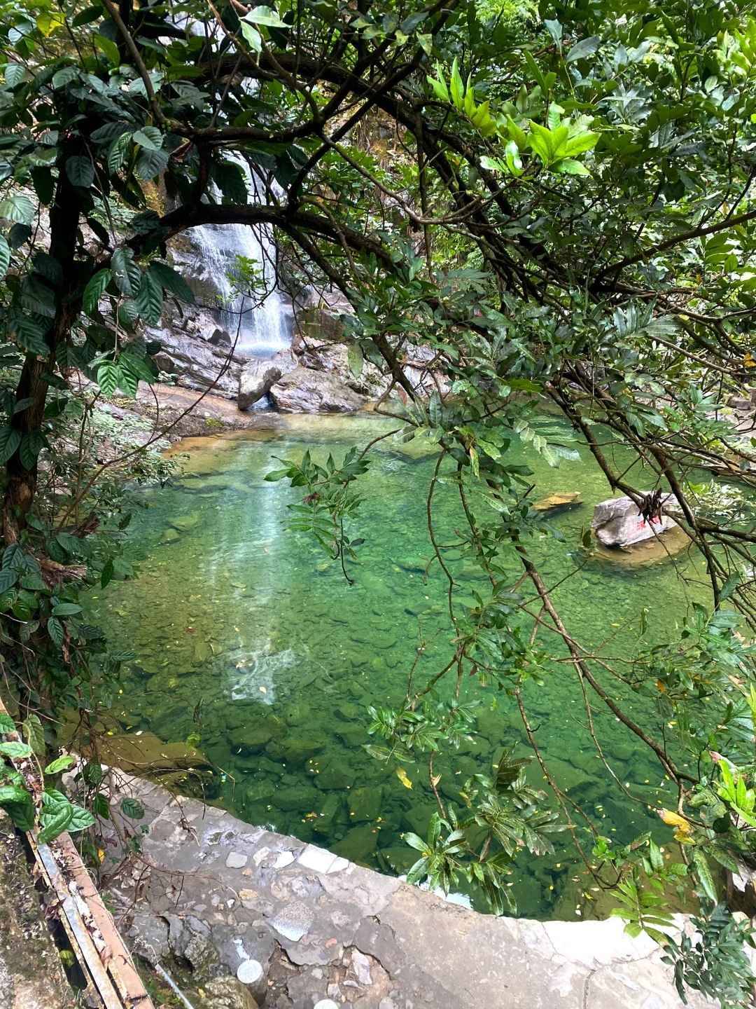 这应该就是广东版【春和景明】