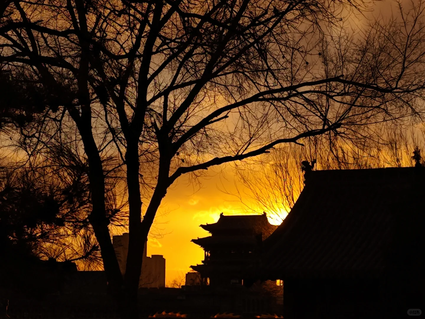 榆次老城外乡人攻略 品浓浓的年味儿