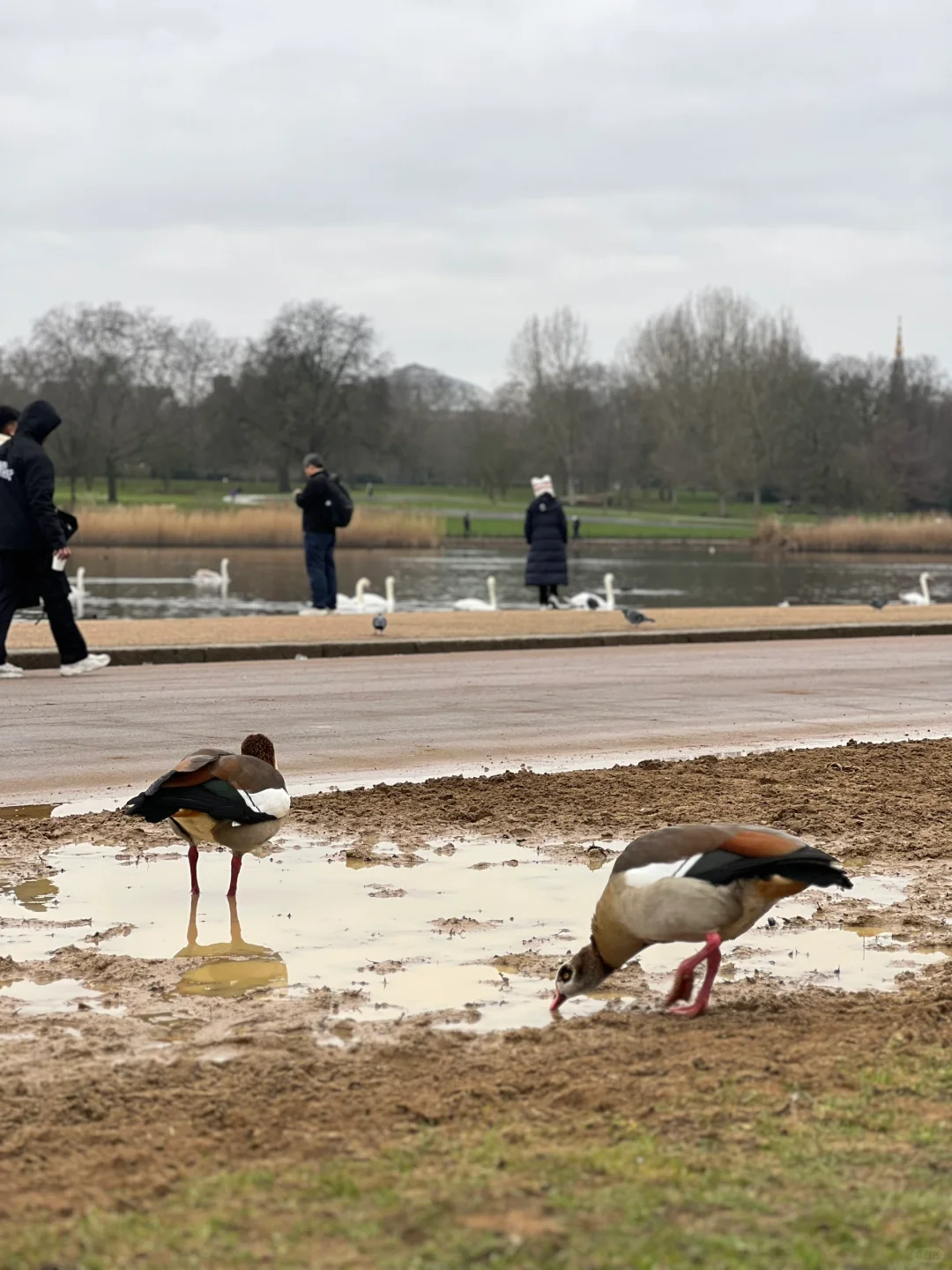Day3 47岁阿姨穷游伦敦-泰晤士河沿线