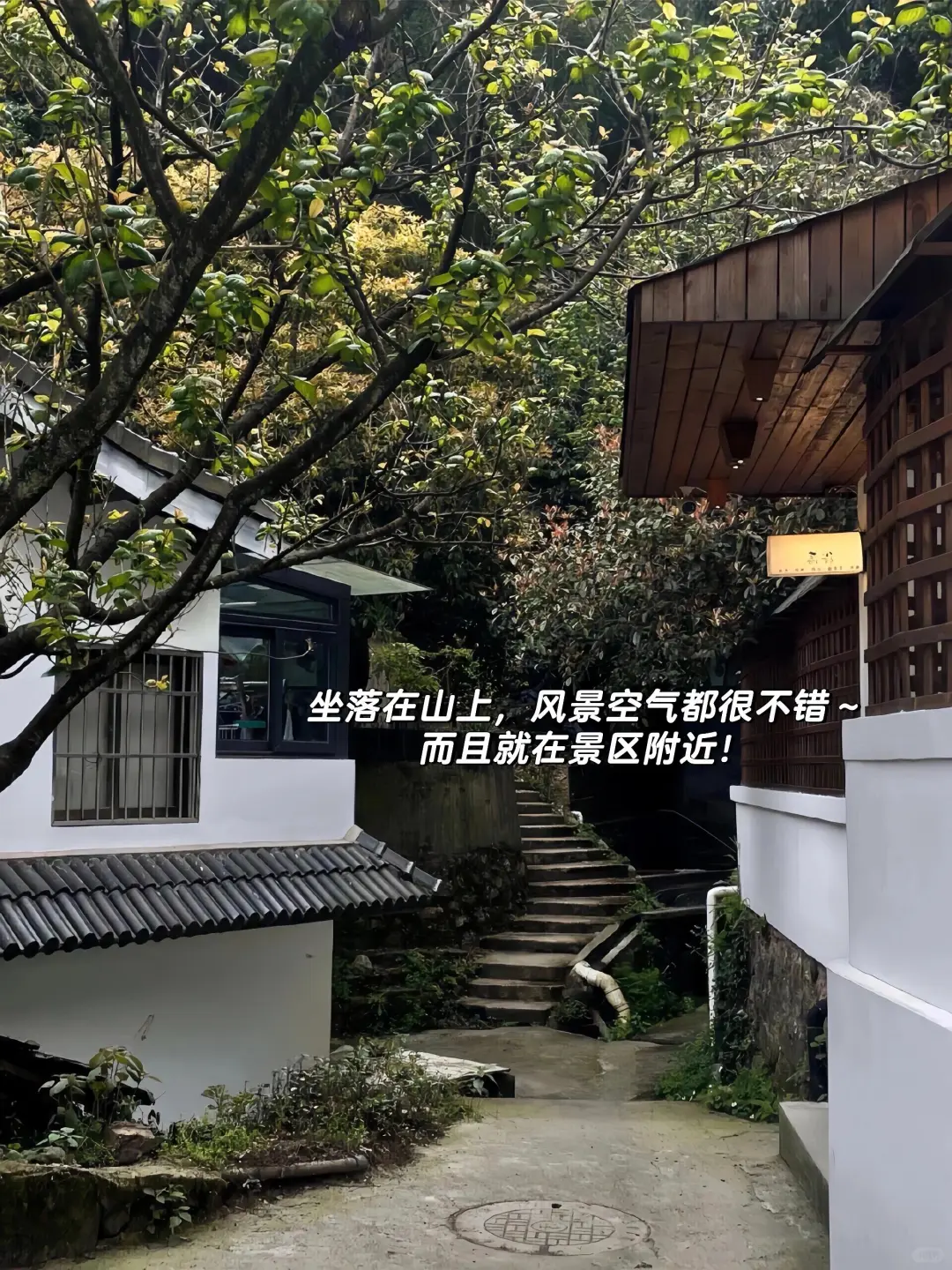 杭州灵隐寺！一周5⃣00可常住，旅居友好~