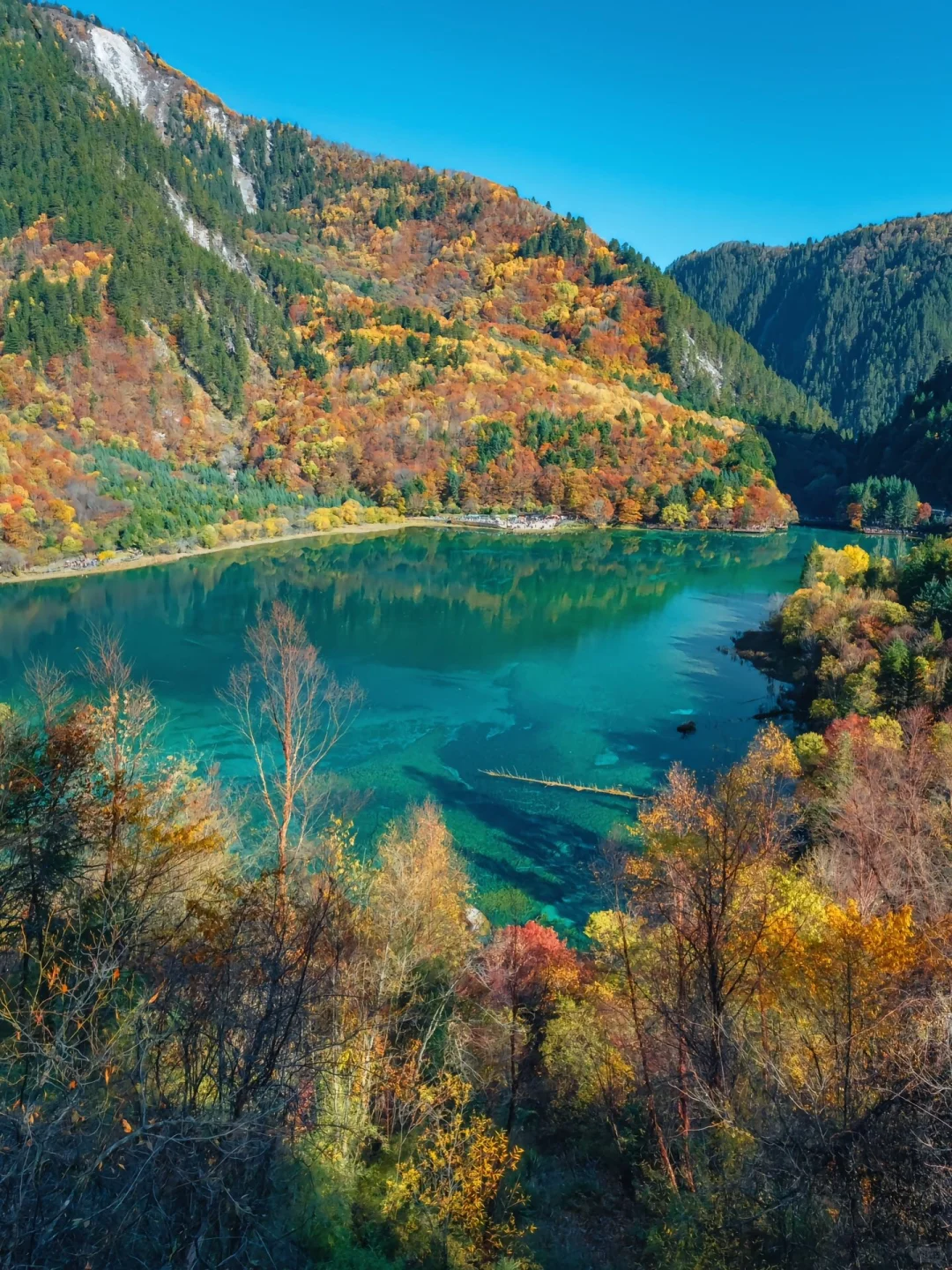 九寨沟淡季vs旺季‼看完再决定什么时候去