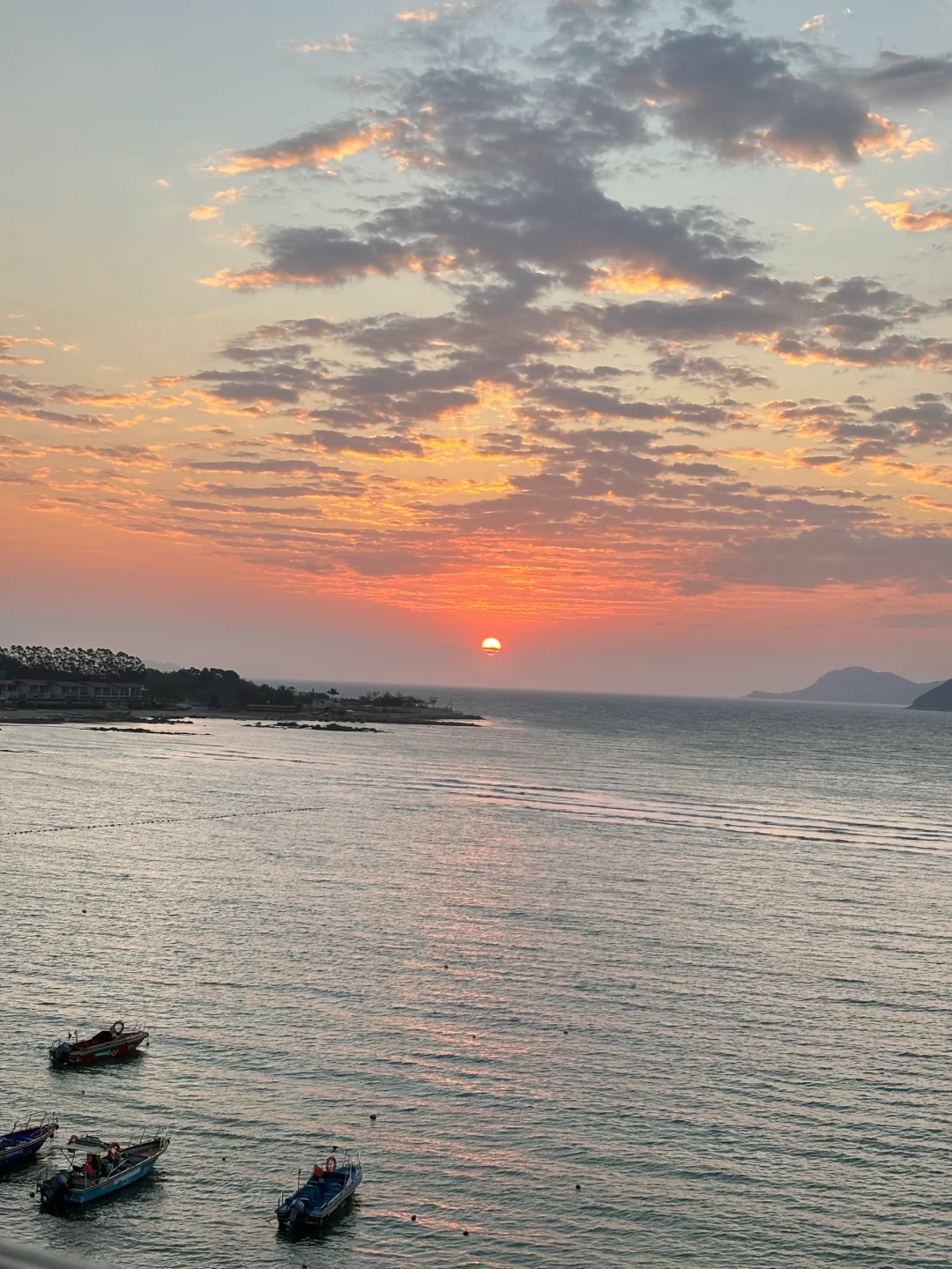 深圳过年玩什么⁉️9个不错的好去处