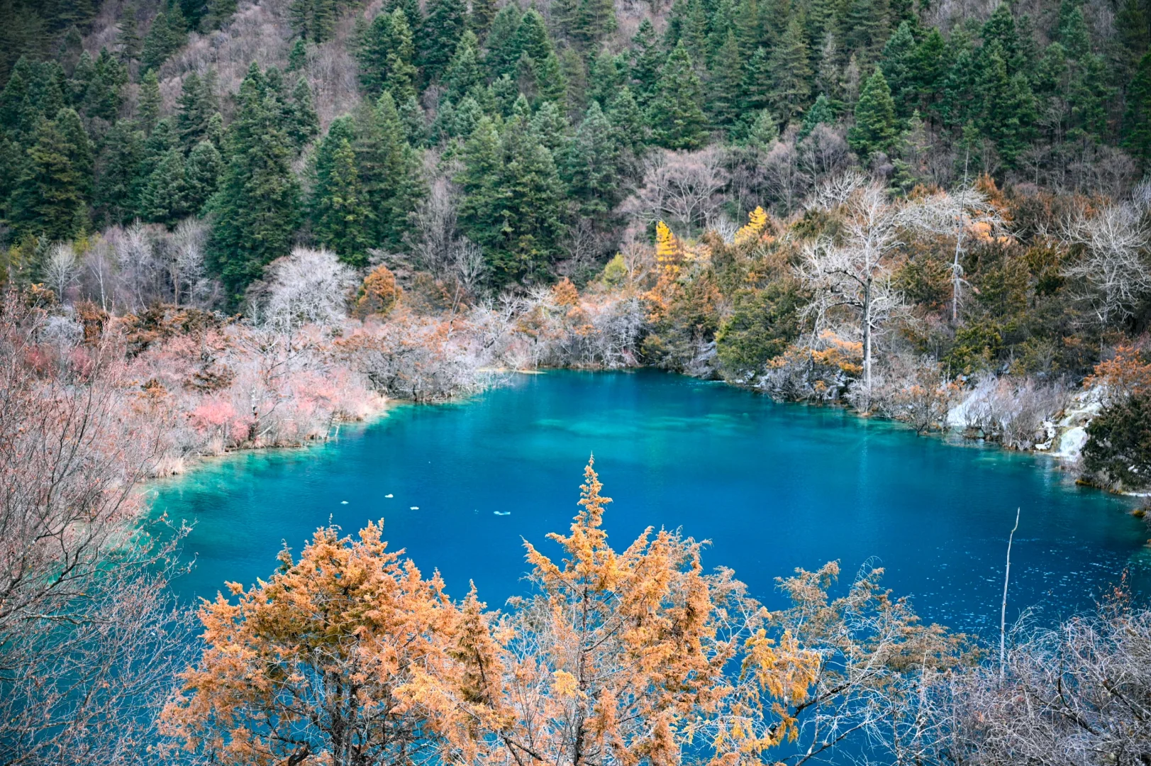 补档一下元旦的黄龙九寨行