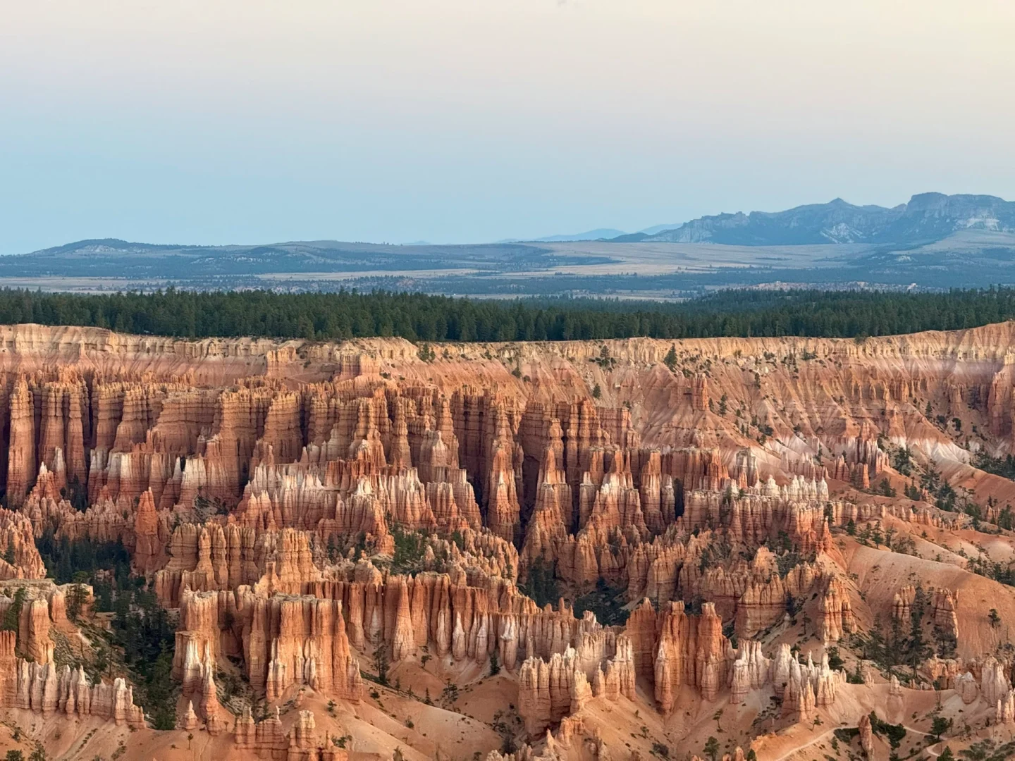 不是夸父也不影响追日